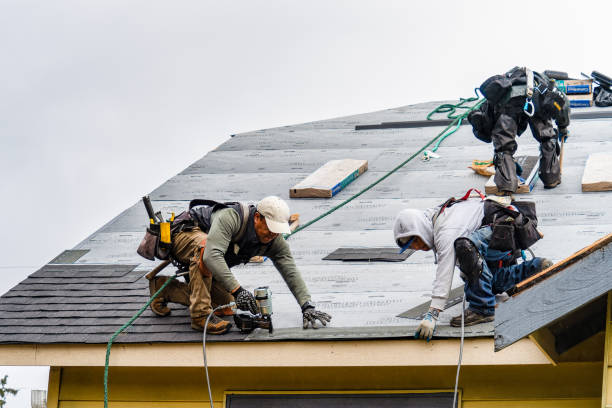 Professional Storm Damage Roof Repair technician working in Hye, TX